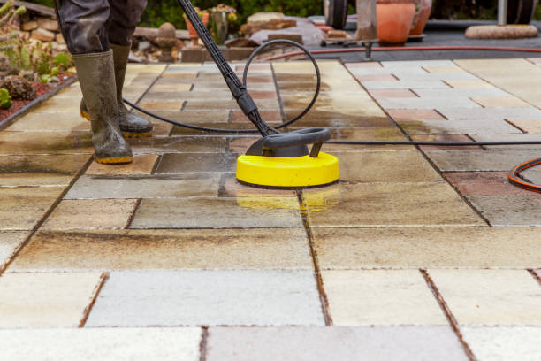 Best Dumpster Area Cleaning  in Villa Ridge, MO