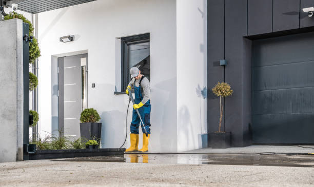 Animal Enclosure Cleaning in Villa Ridge, MO